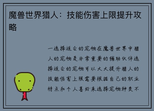 魔兽世界猎人：技能伤害上限提升攻略